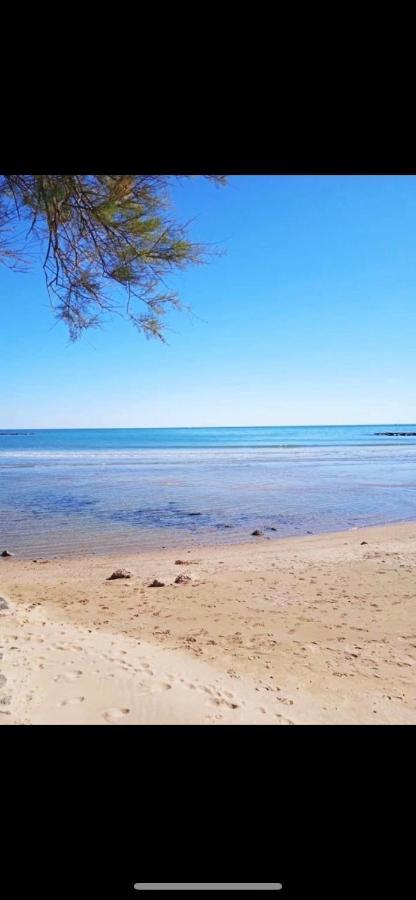 Ferienwohnung Le Coeur Des Sables Le Grau-dʼAgde Exterior foto